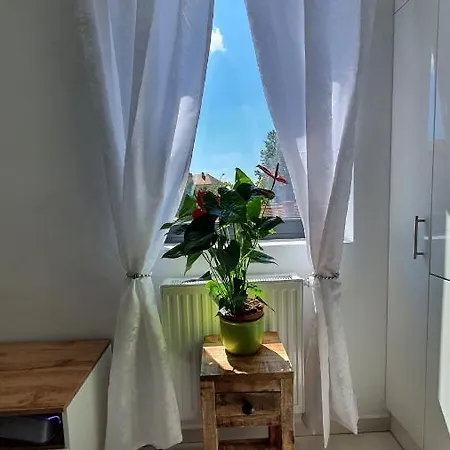 Rose's / Rozsa Apartman / Centre / Belvaros - Apartment